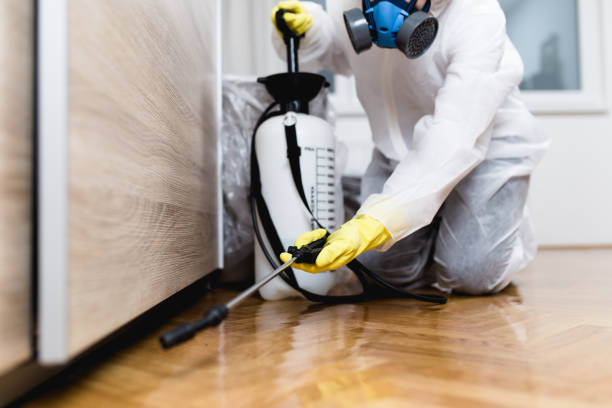 Best Bed Bug Extermination  in Lyndhurst, VA