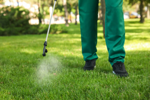 Best Rat Extermination Near Me  in Lyndhurst, VA