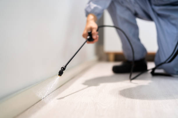 Best Residential Pest Control  in Lyndhurst, VA