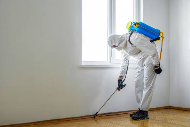  Lyndhurst, VA Pest Control Pros