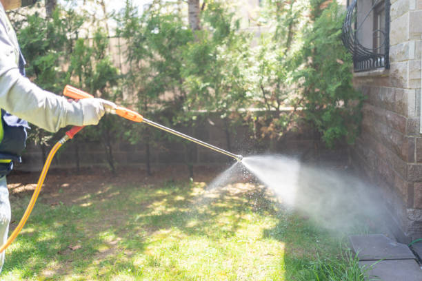 Best Ant Control Services  in Lyndhurst, VA