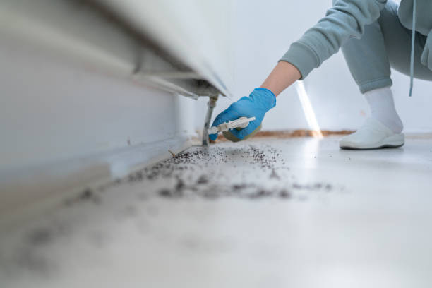 Best Rat Extermination Near Me  in Lyndhurst, VA